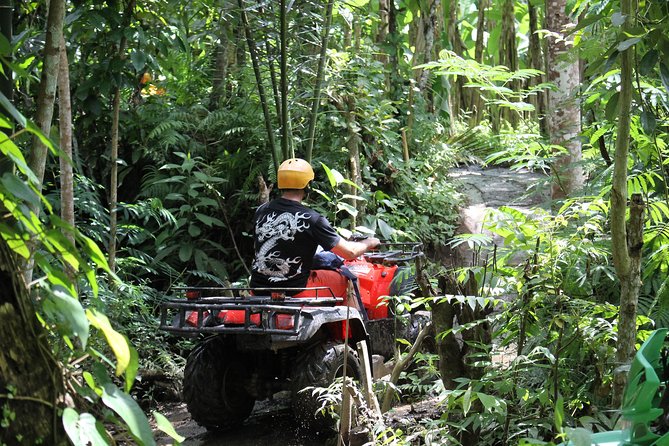 1.5 Hours Bali ATV Quad Tour - Weather reality: when rain changes the plan