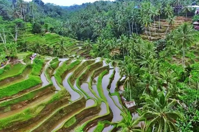 2-Day Experience Bali: Most Popular Tour - How this 2-day Bali circuit stays relaxed (even with lots of stops)