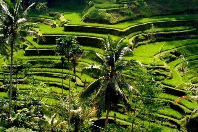 2 Days Mount Batur Sunrise Trekking With Private Ubud Day Tour - Sunset and Sunrise: Getting the View Without Wasting Your Whole Trip