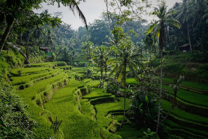 3 Days Bali Package Tours - Day 3: KeepAll ATV Challenge and Blue Lagoon Snorkel or Soak