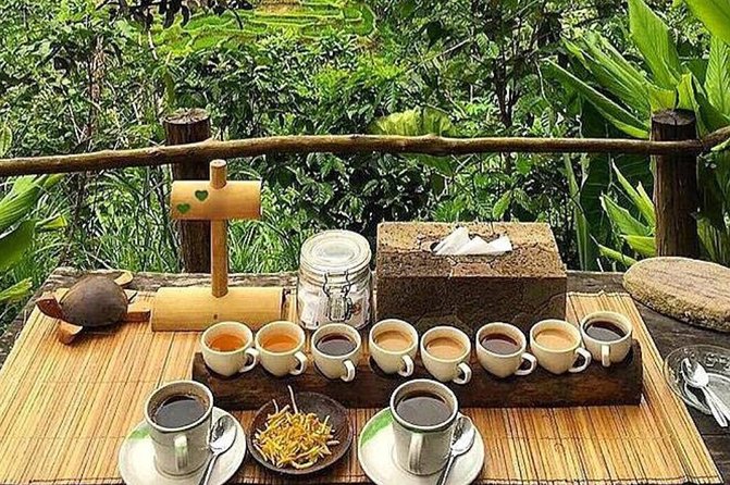 All Inclusive Bali Blue Lagoon Snorkeling with Lunch and Transport - Coffee Plantation in the Late Afternoon: a practical finish to the day