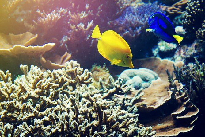 All Inclusive Bali Blue Lagoon Snorkeling with Lunch and Transport - Weather reality: when the ocean changes the plan