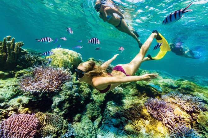 All Inclusive Bali Blue Lagoon Snorkeling with Lunch and Transport - Tanjung Jepun Snorkeling: shallow water and fish close enough to notice