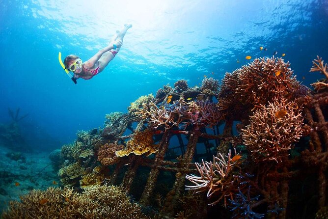 All-Inclusive Bali Snorkeling at Blue Lagoon Beach & ATV Ride - Optional Ubud Time: Monkey Forest and Ubud Royal Palace