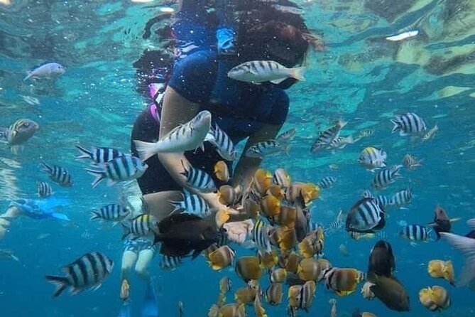 All Inclusive Blue Lagoon Snorkeling with Bali ATV Quad Adventure - Who This Tour Suits Best (And Who Might Want Something Else)