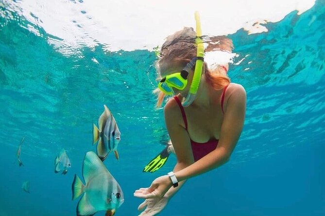 All Inclusive Blue Lagoon Snorkeling with Bali ATV Quad Adventure - Quad Bike Trails: Waterfalls, Tunnels, Rice Fields, and Mud