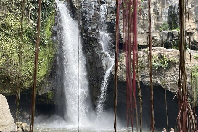 All Inclusive Ubud Cultural and Natural Highlights Tour - Stop 1: Bali Traditional House Gung Aji and the architecture you’ll notice afterward