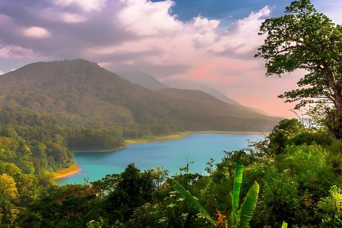 Amazing Bali Dolphin Watching Trip Experience - Private Vehicle Means Your Pace (Not Just Your Seat)