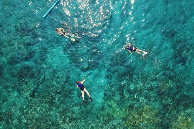 Amazing Blue Lagoon Snorkeling with Private Hotel Transfer - Lunch and turnaround: the part you’ll feel good about later