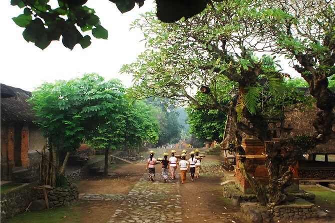 Amazing Private East Bali Full-Day Tour - Goa Lawah Sea Temple: Cave Temple Energy and the Bat Factor