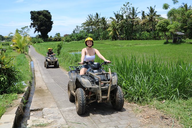 ATV Tour with Monkey Forest Experience in Bali - Sangeh Monkey Forest: 1,000+ Macaques and the Gift of Getting It Wrong