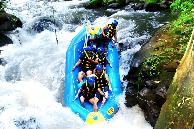Ayung River Rafting and Ubud Waterfall Tour - Ayung River Class II–III rapids: why this is a smart adventure day