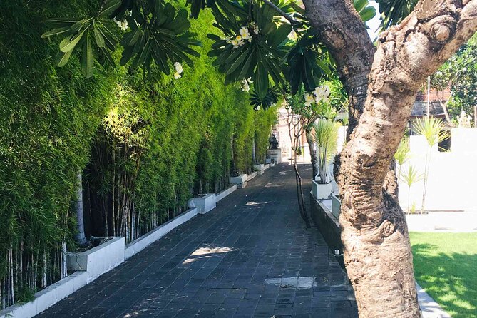 Backlanes and Hidden Sites: A Self-Guided Audio Tour in Seminyak - Price and value: $9.99 for a flexible hour of Seminyak context