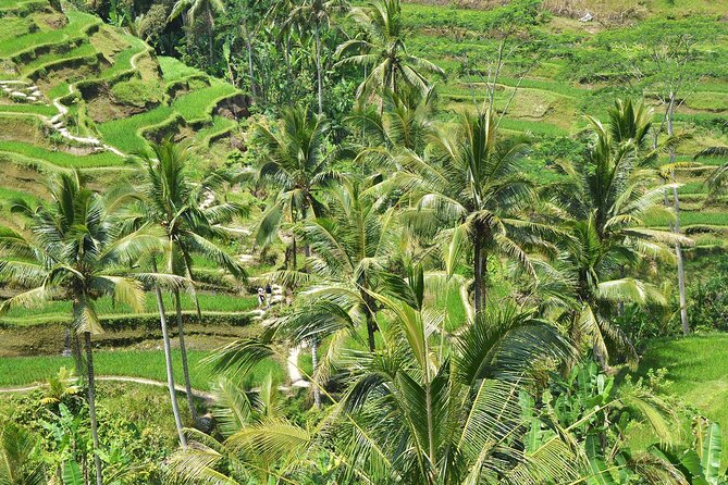 Bali Airport Arrival Transfer and Private Car Charter Combo - What to pack and how to use the day like a local