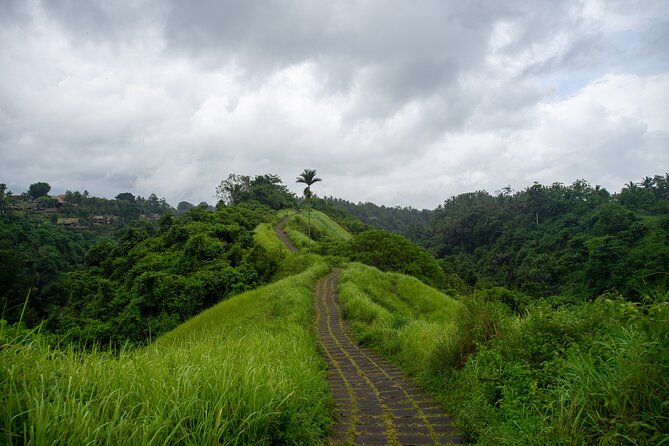 Bali Airport Pickup Transfer to Ubud Area (Private) - The drive: what you can expect on the 1.5–2 hour route