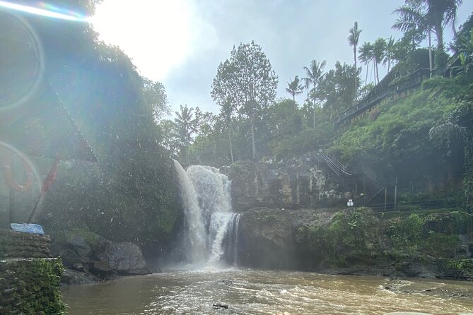 Bali Arts shopping with temples-waterfall visit. - Elephant Cave (Goa Gajah): Temple Lore and a 1920 Discovery