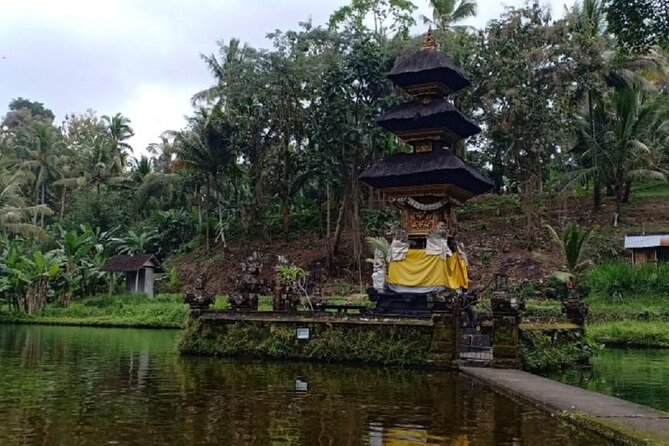 Bali ATV Combined with Mumbul Lake And Sangeh Monkey Forest - Sangeh Monkey Forest: thousands of nutmeg trees and monkeys that act like they own the place