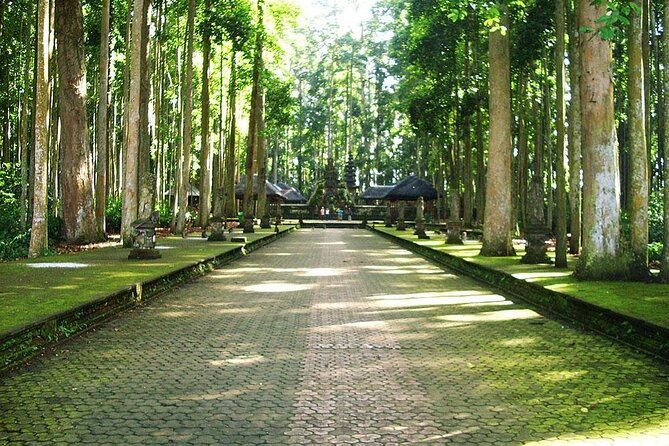 Bali ATV Combined with Mumbul Lake And Sangeh Monkey Forest - Transfers and a private setup: how the logistics affect your comfort