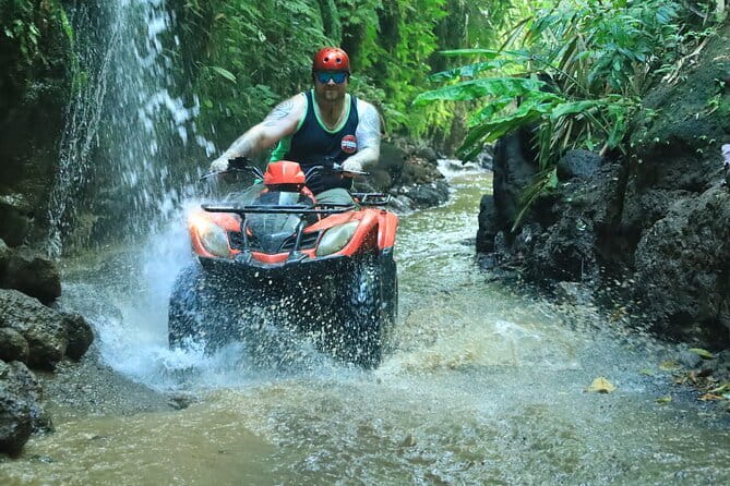Bali ATV Quad Bike Ubud Swing & Monkey Forest All Inclusive - Starting From Seminyak: A Smooth 8-Hour Rhythm