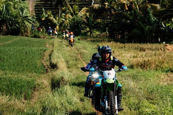 Bali ATV Quad Bike Ubud Swing & Monkey Forest All Inclusive - Price and Value: Is $95 a Good Deal for This Mix?
