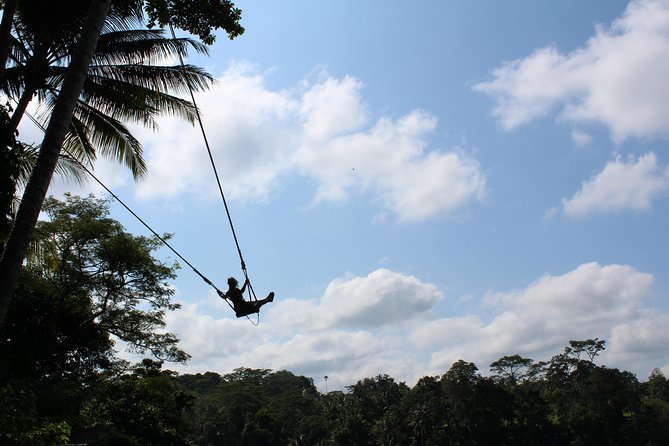 Bali ATV Quad Ride and Giant Swing Experiences - Stop 2: Quad Ride at Bali Pertiwi Through Rice Paddies and Villages