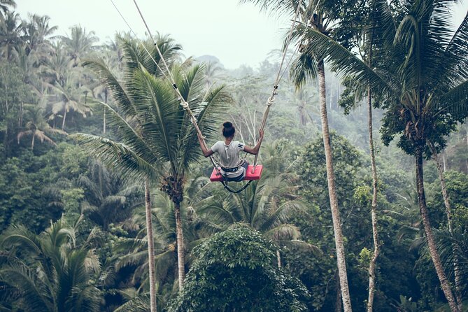 Bali ATV Quad Ride and Giant Swing Experiences - Stop 1: Tegalalang Giant Swings With 10–78m Heights