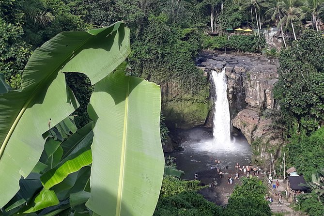 Bali ATV Rafting And Ubud Waterfall Private Tour - Plantation Coffee or Tea: The Break That Actually Helps
