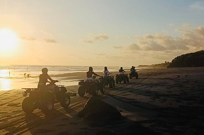 Bali ATV Ride On the Beach, Rice Field and Village Tour 2 Hour - Price and value: is $44.50 reasonable for this mix?