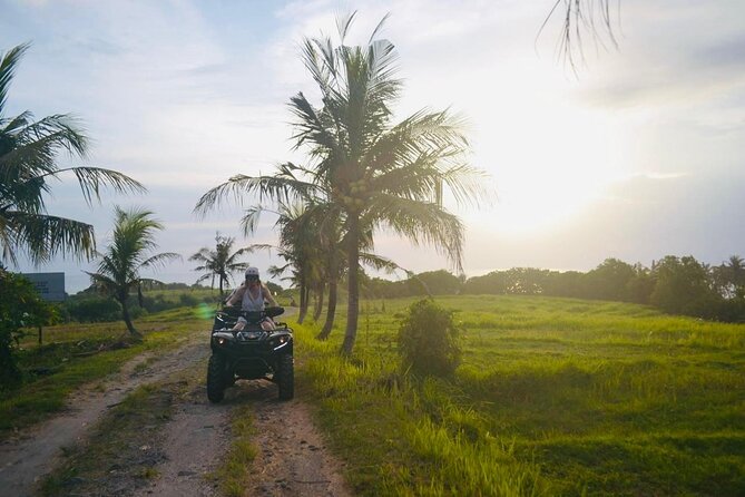Bali ATV Ride On the Beach, Rice Field and Village Tour 2 Hour - Timing, weather, and practical tips so the day goes smoothly
