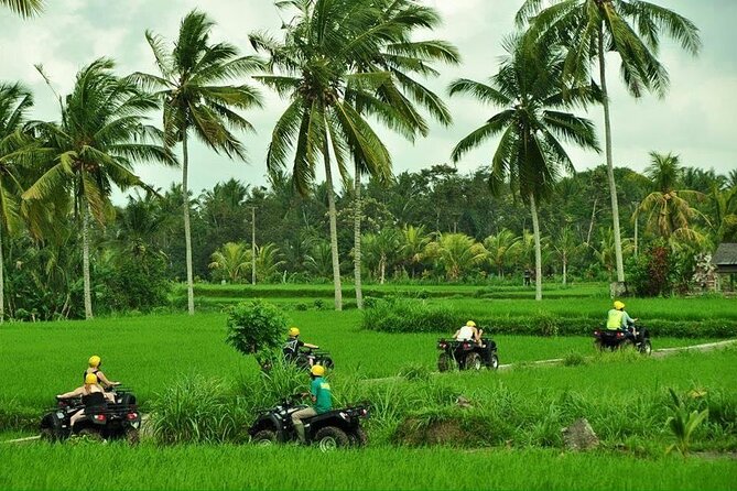 Bali ATV Ride tour Ubud - Price and time: what $37.29 buys you in real life
