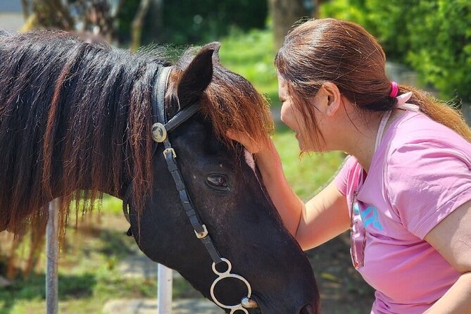 Bali Beach Horse Riding combo with waterfall All Inclusive - Transfers, Tickets, and the Private-Group Advantage