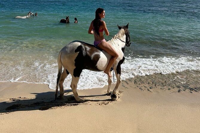 Bali Beach Horse Riding combo with waterfall All Inclusive - Transition to Ubud Area: Setting Up for the Waterfall