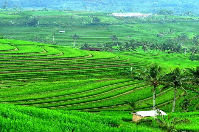 Bali: Bedugul Lake Temple, Banyumala Waterfall, UNESCO Rice Field - How the day flows (and how not to get tired)