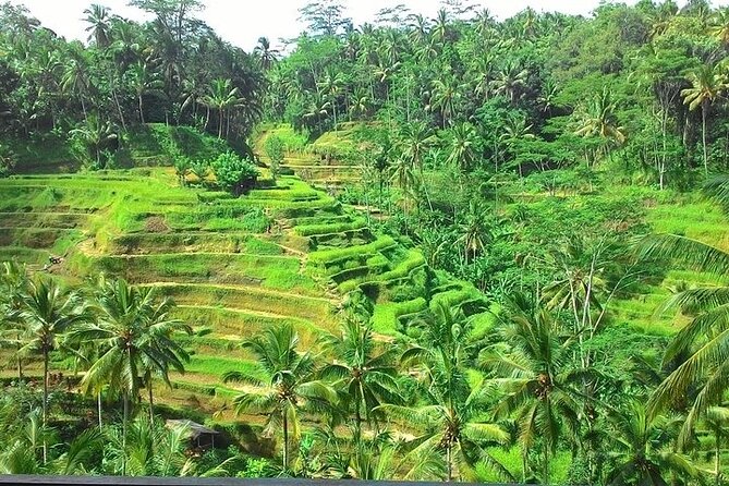 Bali Benoa Shore Excursion for cruise's passenger - All Inclusive - Tegenungan Waterfall: Photos, Cooling Water, and a Quick Break from Driving