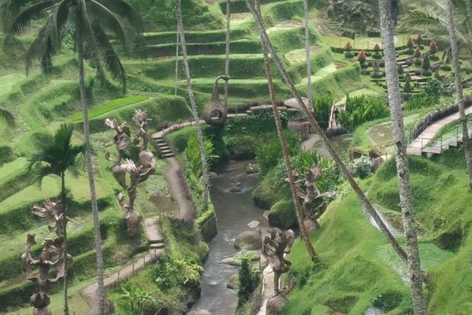 Bali Benoa Shore Excursion for cruise's passenger - All Inclusive - Uma Pakel Agro Tourism: Coffee, Fruit, and the Optional Swing Challenge