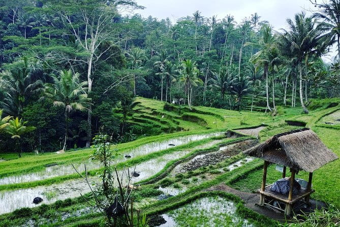 Bali: Best Eastern Waterfalls with Private Bali Tours - Private transportation and a driver-guide who actually stays with you