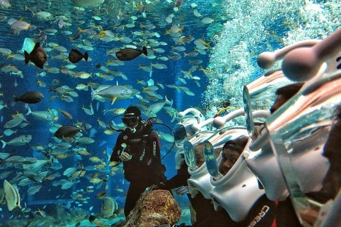 Bali Best Watersport Sea walker,Parasailing adventure,Jet sky - Seminyak to Tanjung Benoa: why this combo makes sense