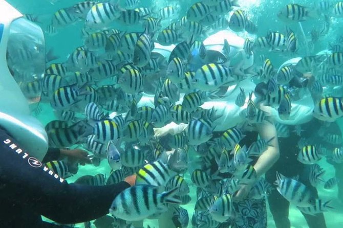 Bali Best Watersport Sea walker,Parasailing adventure,Jet sky - Morning flow at Tanjung Benoa: your “wet day” reset point