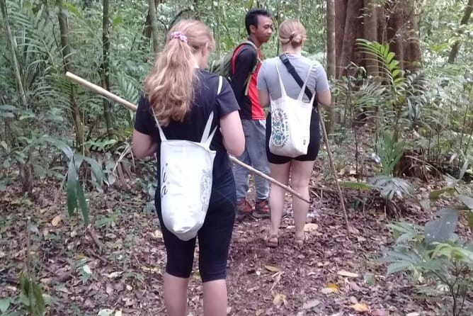 Bali Blue Lagoon Snorkeling and Waterfall Day Tour with Lunch - Who This Tour Fits Best (And Who Might Prefer Something Else)