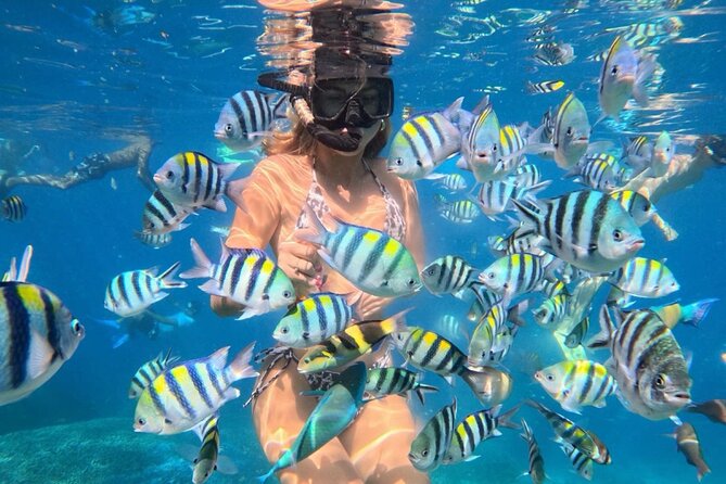 Bali Blue Lagoon Snorkeling - Lunch and Transport All Inclusive - Key Highlights You’ll Actually Care About