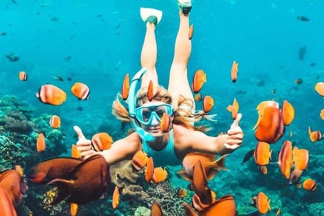 Bali Blue Lagoon Snorkeling - Lunch and Transport All Inclusive - What You’re Getting in a 6-Hour Private Day