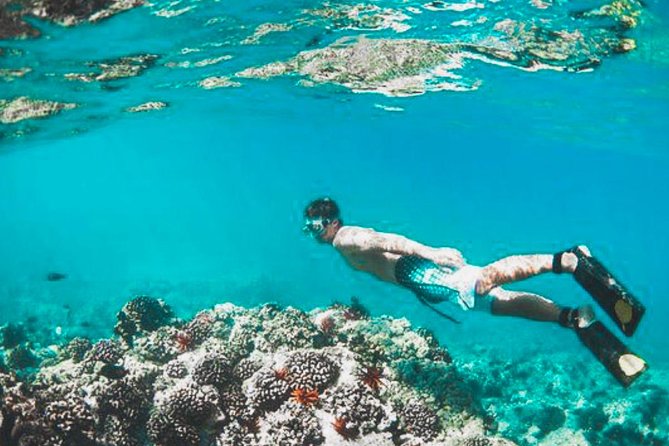 Bali Blue Lagoon Snorkeling - Lunch and Transport All Inclusive - The Real Value: Private Transport and a Guide Who Keeps It Smooth