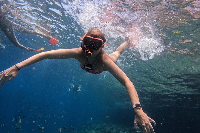 Bali Blue Lagoon Snorkeling - Lunch and Transport All Inclusive - Weather and Timing: The One Factor That Can Change Your Day