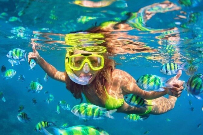 Bali Blue Lagoon Snorkeling - Lunch and Transport All Inclusive - Blue Lagoon Beach Snorkeling: Your Time With Coral and Tropical Fish