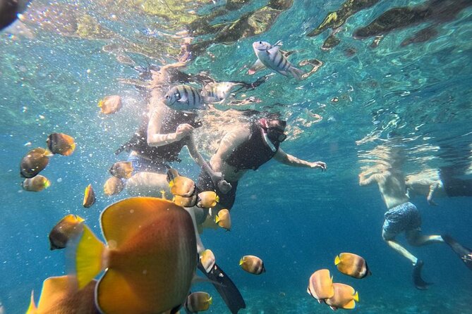Bali Blue Lagoon Snorkeling Ticket And Transfer - Key highlights that make this snorkeling ticket work