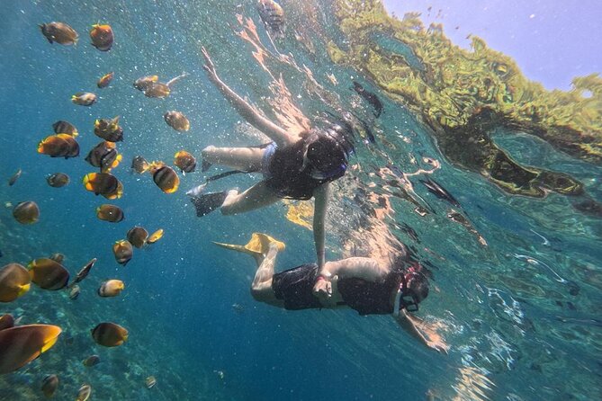 Bali Blue Lagoon Snorkeling Ticket And Transfer - Shower, lunch by the sea, and the small comfort wins