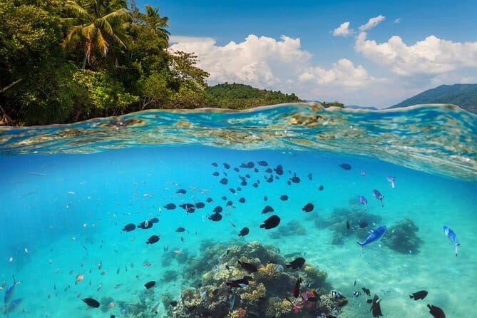 Bali Blue Lagoon Snorkeling Tour All Inclusive - How the Seminyak pickup and Padang Bai ride set the tone