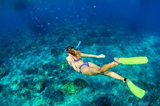 Bali Blue Lagoon Snorkeling Tour All Inclusive - Your guide can make or break the day: Bayu and Toli