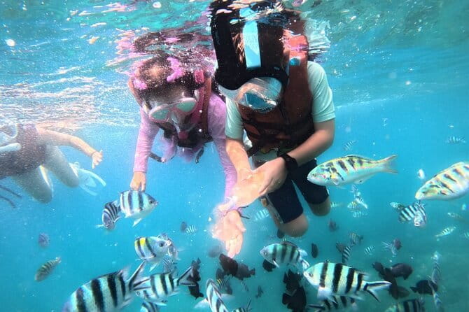 Bali Blue Lagoon Snorkeling Tour All Inclusive - Upgrade option: adding Ubud waterfalls with Kanto Lampo and Tibumana