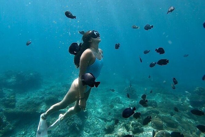Bali Blue Lagoon Snorkeling with Optional Tour & Activities - Snorkeling the Blue Lagoon: what you’ll likely see beyond the reef basics